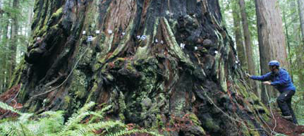 图片36.png 图片36.png