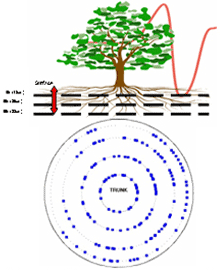 图片56.png 图片56.png