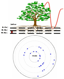 图片58.png 图片58.png