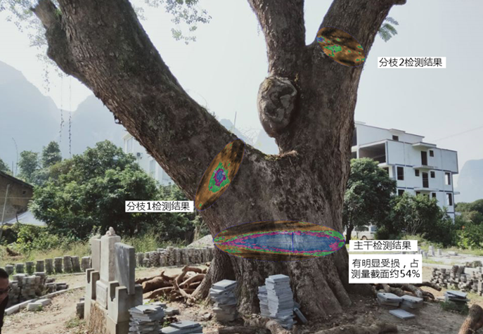 图片31.png 图片31.png