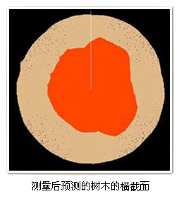 图片54.png 图片54.png